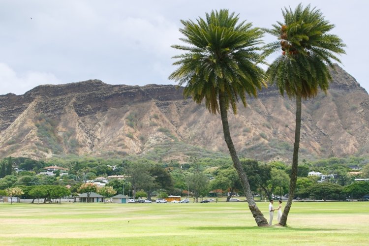 圧巻の見晴らし！