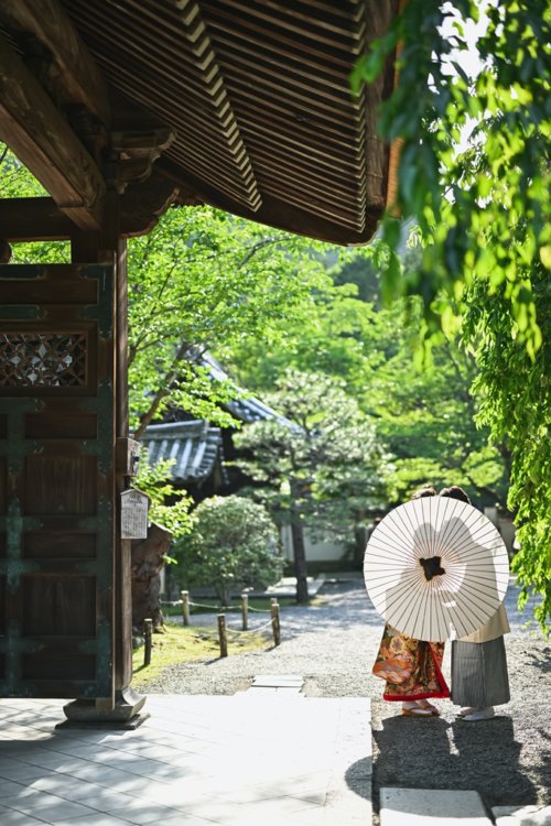 白色の和傘を持っている新郎新婦