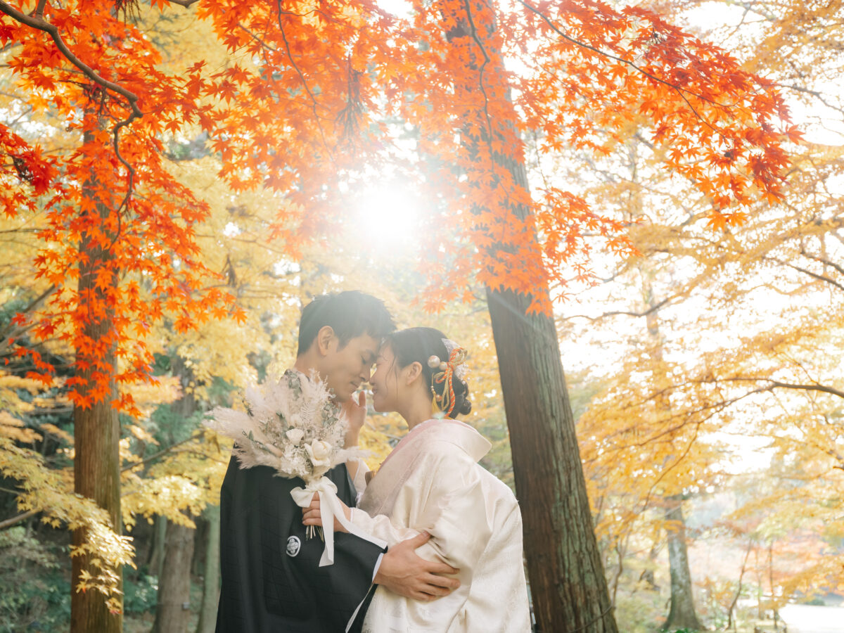 紅葉ロケーションフォト