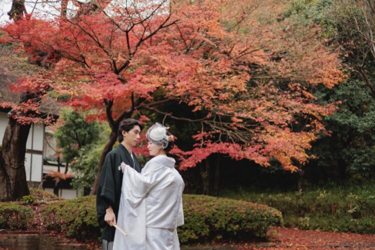 真っ赤な紅葉を背景に見つめ合う紋付袴の新郎と白無垢の花嫁。三溪園の秋の和装前撮り