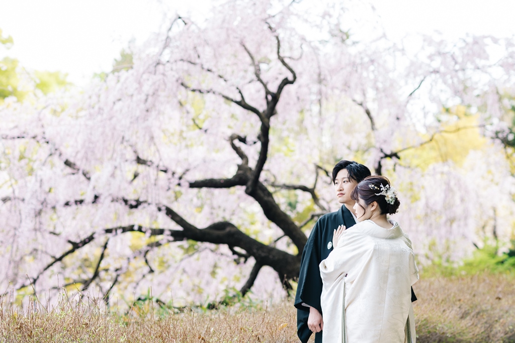 和装と桜の組み合わせ