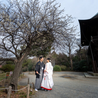 白梅の木と仁王門のある称名寺の境内で、見つめ合う紋付袴の新郎と白無垢の花嫁を引きで写した和装前撮り