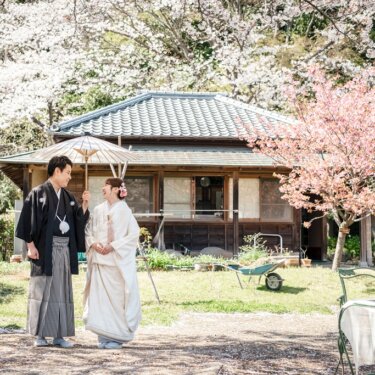 横溝住宅にて、満開の桜と瓦屋根の古民家を背に、和傘の下に並ぶ紋付袴の新郎と白無垢の花嫁を引きで写した和装前撮り