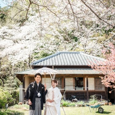 横溝屋敷の桜の木々の下、瓦屋根の古民家の前で和傘を差して並ぶ紋付袴の新郎と白無垢の花嫁の結婚写真