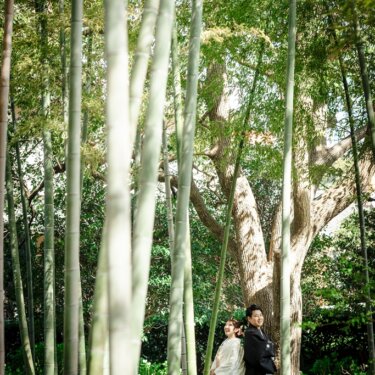 高い竹林の奥で寄り添う紋付袴の新郎と白無垢の花嫁を、竹の間から小さく写した和装フォトウェディング