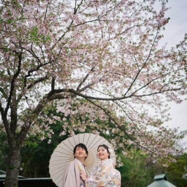 満開の桜の木の下で白い和傘を差し、寄り添って空を見上げる新郎新婦。淡い色打掛が映える春の結婚写真