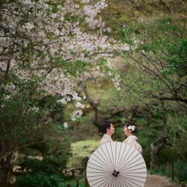 桜のトンネルの小道で白い和傘を広げ、見つめ合う色打掛の花嫁と新郎の後ろ姿。三渓園の春を感じる和装ロケーションフォト