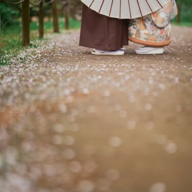 桜の花びらが散る小道に立つ二人の足元と、白い和傘の下からのぞく色打掛の裾。春らしい構図の和装フォトウェディング