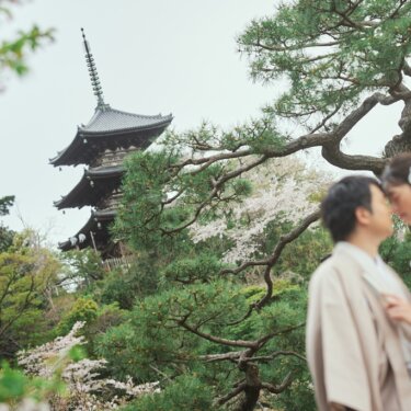 旧燈明寺三重塔と満開の桜を望み、新郎新婦をぼかした引きの構図が印象的な三渓園の春の和装前撮り