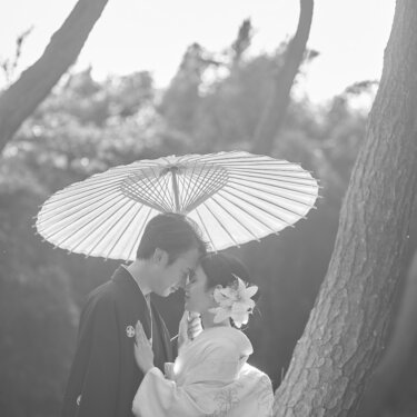 松の幹に寄り添い、和傘の下でおでこを合わせる紋付袴の新郎と白無垢の花嫁。モノクロの和装フォトウェディング