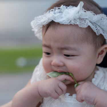 レースのヘッドドレスをつけた赤ちゃんが葉っぱを口に運ぶかわいい一瞬。家族写真の前撮りで残したいオフショット